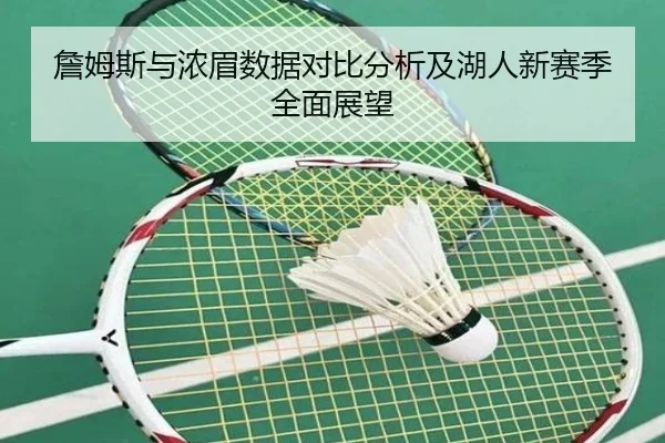 詹姆斯与浓眉数据对比分析及湖人新赛季全面展望 | Yihao